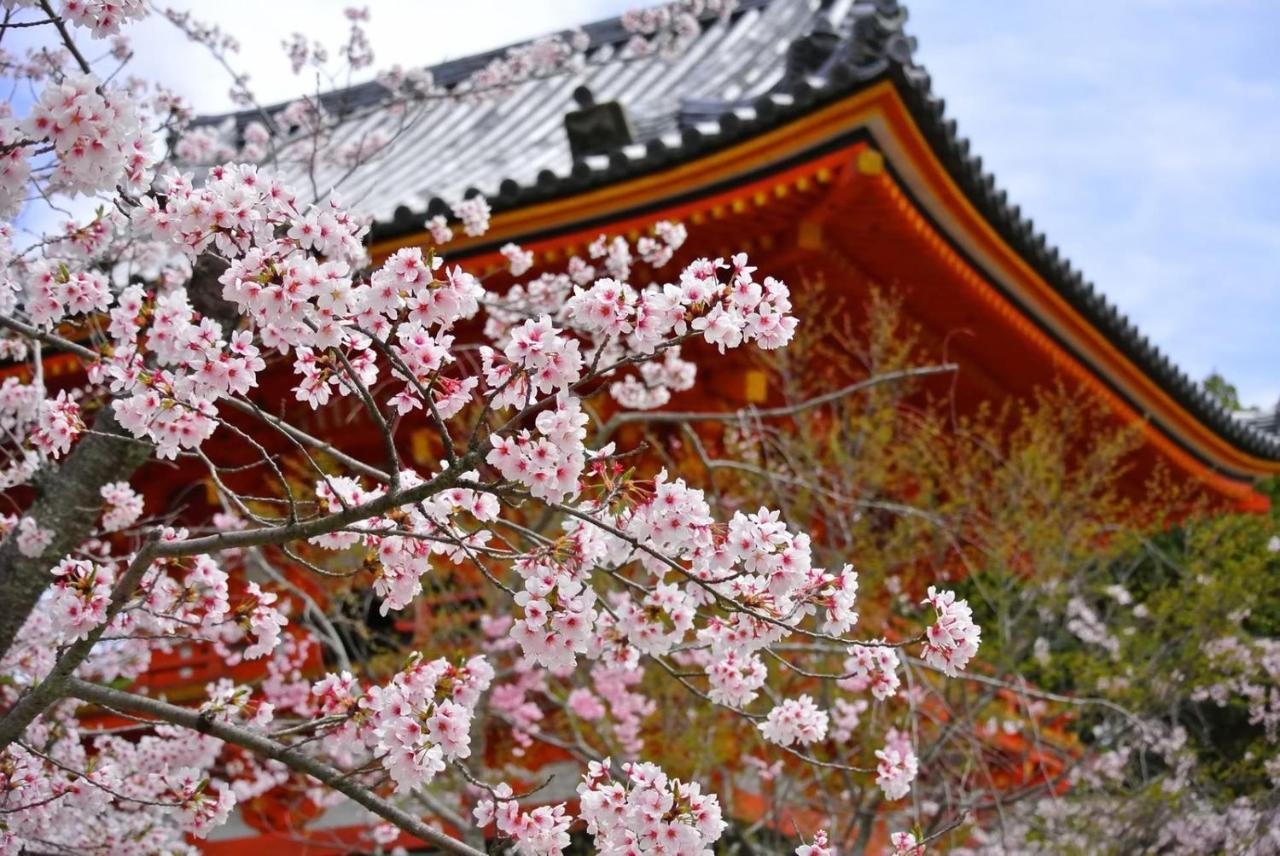 Stay Sakura Kyoto Gion North Exterior foto